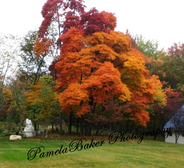 fall-scene-bear-mt-ny