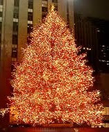 treasury-christmas-tree-rockefeller-center