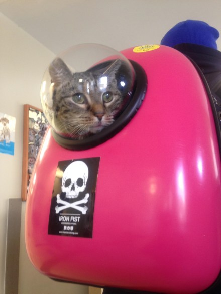 backpack-kitty-2-22-17