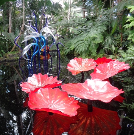 Chihuly.Persians in thePond.Herons in Conservatory.pammy