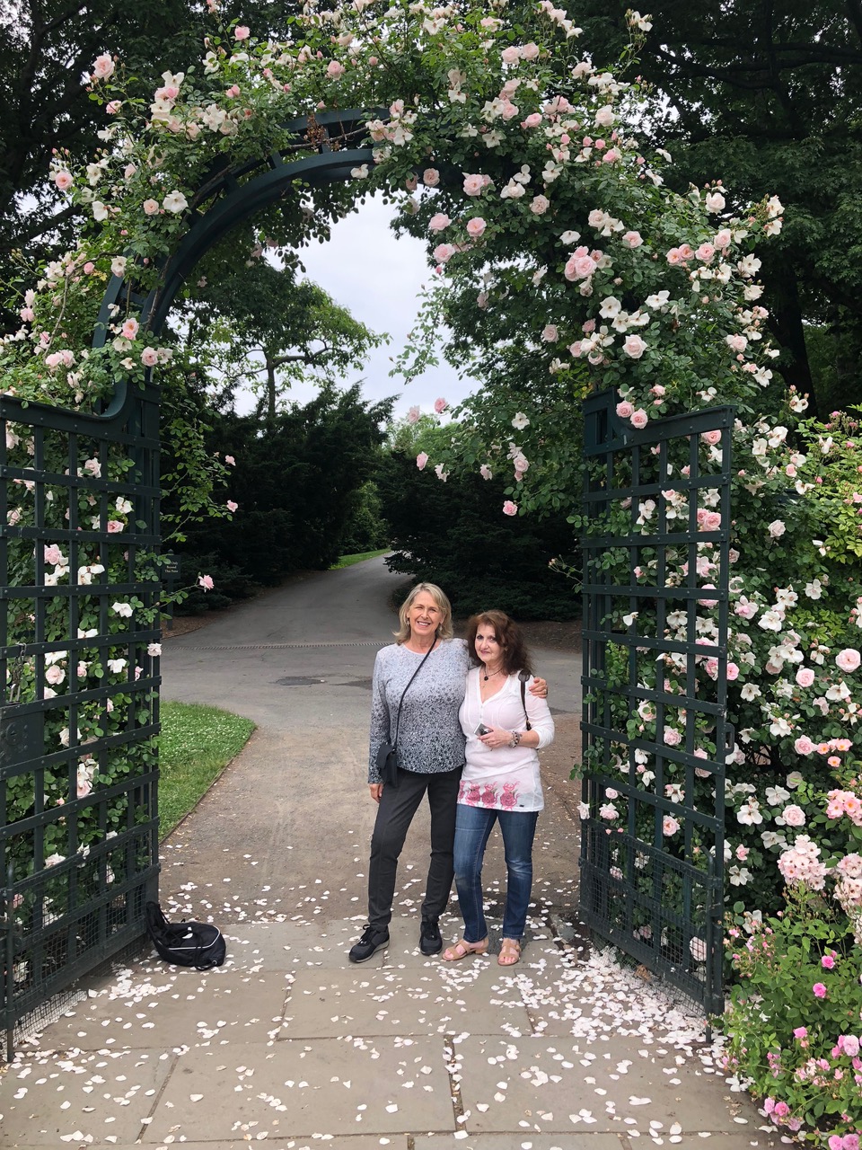 PeggyRockefellerRoseGarden.Pammy.Susan.closeup. Susan 6.10.18